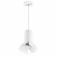 Комплект со светильником Rullo Lightstar RP436436