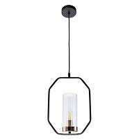 Подвесной светильник Arte Lamp Celaeno A7004SP-1BK